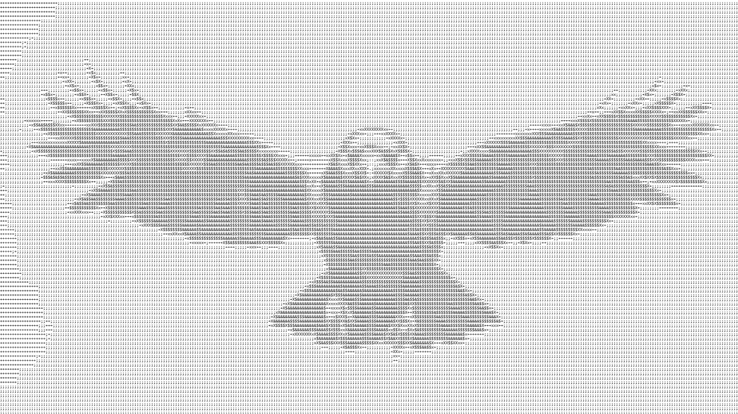 Only the fools, follow the raven